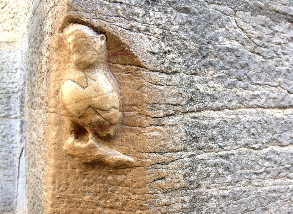 La chouette de Dijon, sur la face nord de Notre-Dame. © Jondi